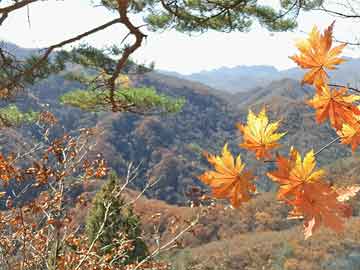 唐山鋼坯最新價(jià)格，市場(chǎng)走勢(shì)與影響因素分析