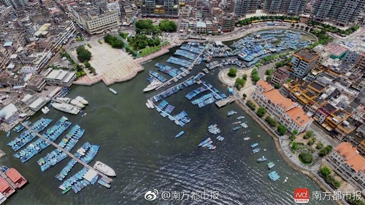 防辦最新消息，心靈與自然的約定之旅啟動(dòng)