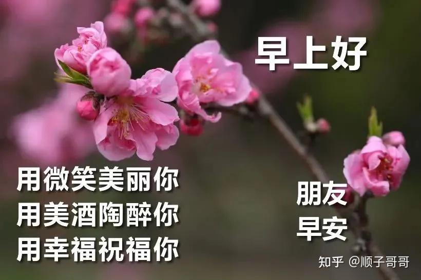 冬季暖心問候語，溫暖陪伴你一整個冬天