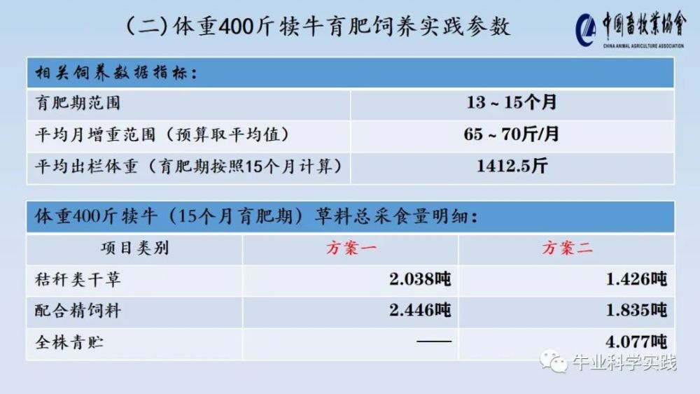 新澳天天開獎資料大全62期,實踐數(shù)據(jù)分析評估_高效版16.362