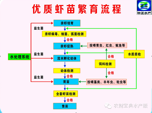 新澳天天開獎資料大全三中三,精細化方案決策_超高清版49.802